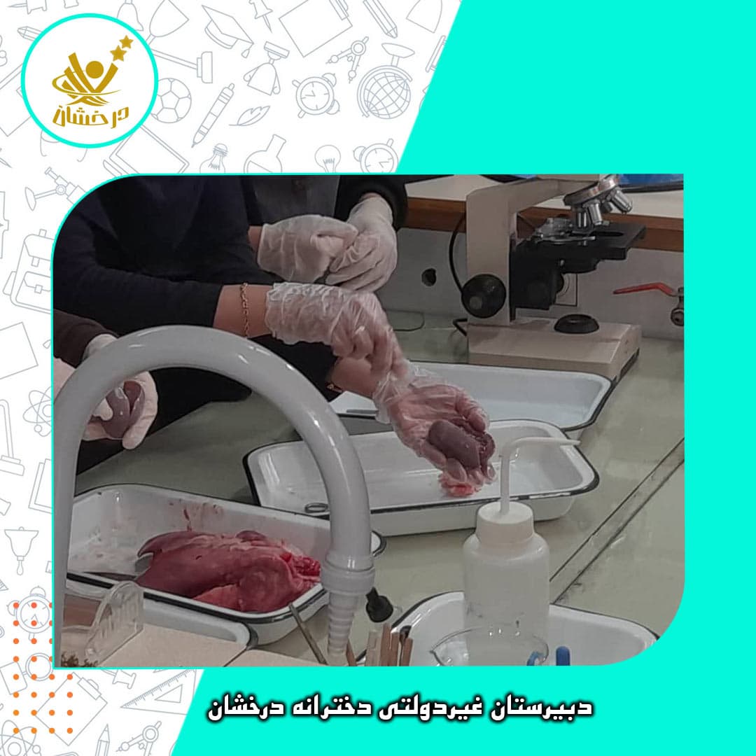 دبیرستان غیردولتی دخترانه درخشان